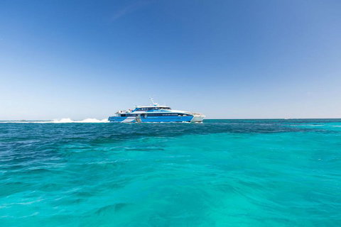 Rottnest Island Bayseeker Day Trip From Perth - Accommodation Tasmania 0