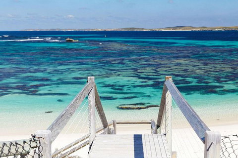 Rottnest Island Bayseeker Day Trip From Perth - Accommodation Tasmania 3