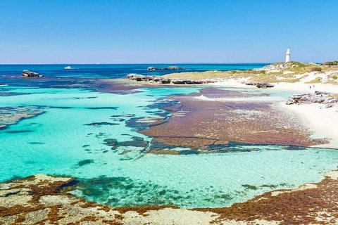 Rottnest Island Bayseeker Day Trip From Perth - Accommodation Tasmania 4