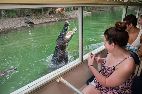 Hartley's Crocodile Adventures Day Trip From Cairns - Accommodation Tasmania 3