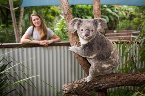 Hartley's Crocodile Adventures Day Trip From Cairns - Accommodation Tasmania 5