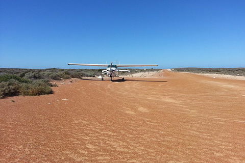 Abrolhos Islands Scenic Flight & Snorkel Adventure From Perth - Accommodation Tasmania 3