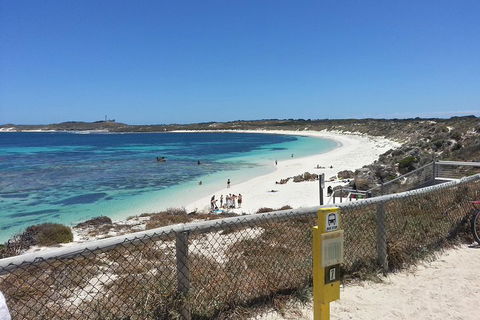 Wave Rock, Pinnacles And Rottnest One Day Aeroplane Tour - Accommodation Tasmania 2
