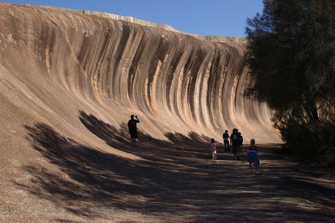 Wave Rock, Pinnacles And Rottnest One Day Aeroplane Tour - Accommodation Tasmania 4