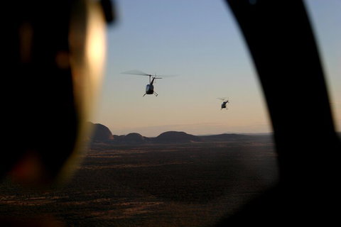 Helicopter Scenic: Lizard Safari - Accommodation Tasmania 1