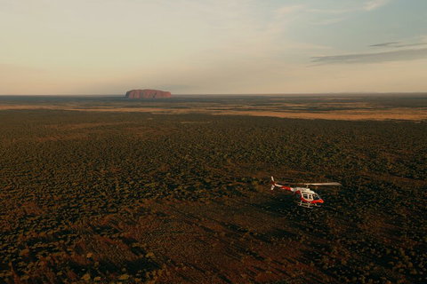 Helicopter Scenic: Lizard Safari - Accommodation Tasmania 4