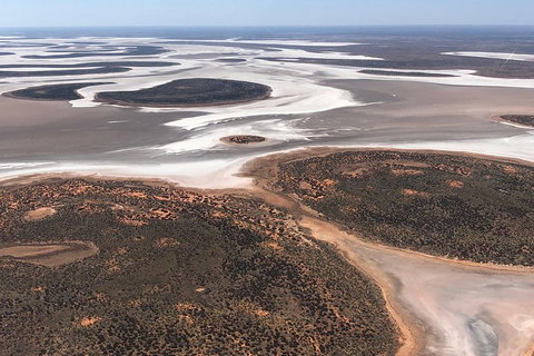 Helicopter Scenic: Lizard Safari - Accommodation Tasmania 5