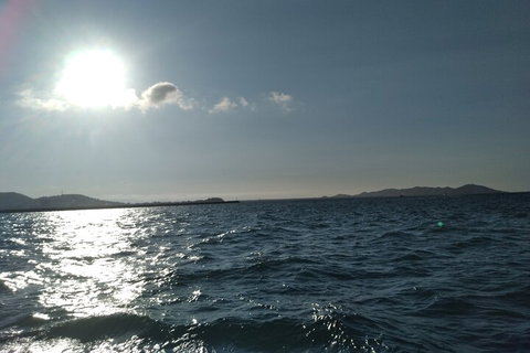 Townsville Small Group Early Morning Sailing Cruise Boat Tour Charter Hire - Accommodation Tasmania 4