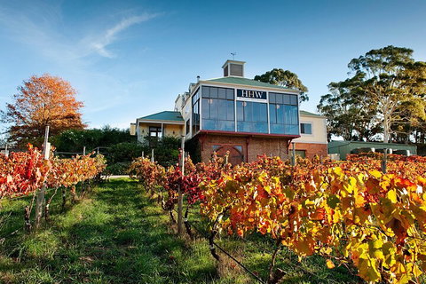 Adelaide Hills Food, Wine, Cheese, & Chocolate - Private Day Tour - Accommodation Tasmania 3