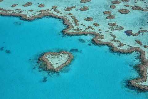 Reef And Island Scenic Flight From Airlie Beach - Accommodation Tasmania 5