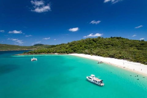 Whitehaven Beach And Hill Inlet | Awesome Beach BBQ | Family Friendly - Accommodation Tasmania 3
