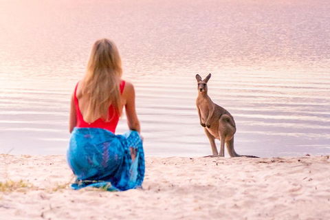 Serenity Cruise To Australia's Everglades - Accommodation Tasmania 3