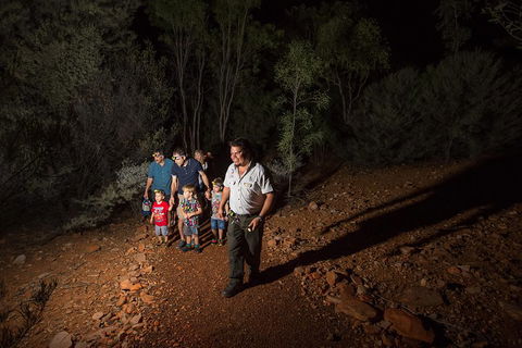Alice Springs Desert Park Nocturnal Tour - Accommodation Tasmania 0