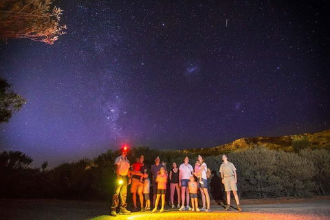Alice Springs Desert Park Nocturnal Tour - Accommodation Tasmania 2