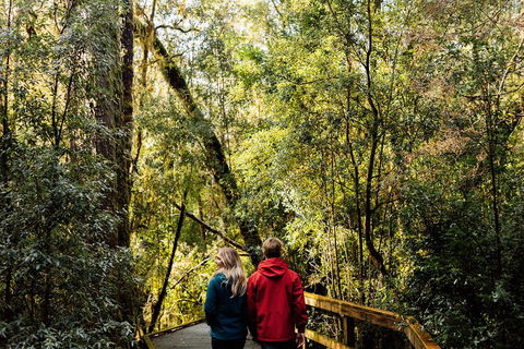 Gordon River Cruise Departing From Strahan - Accommodation Tasmania 2