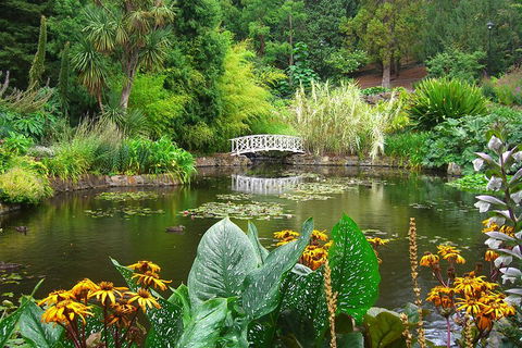 Hobart City Sightseeing Tour Including MONA Admission - Accommodation Tasmania 3