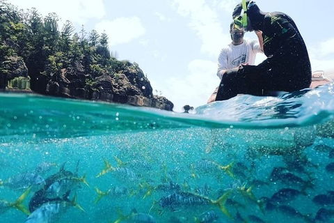 2 Night Small Group Whitsundays Sailing Adventure Aboard Mandrake - Accommodation Tasmania 5
