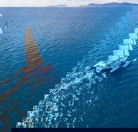 2-Night Whitsunday Islands Sailing Adventure on Trimaran Avatar - Accommodation Tasmania