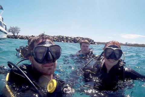 Wave Break Island Scuba Diving On The Gold Coast - Accommodation Tasmania 0
