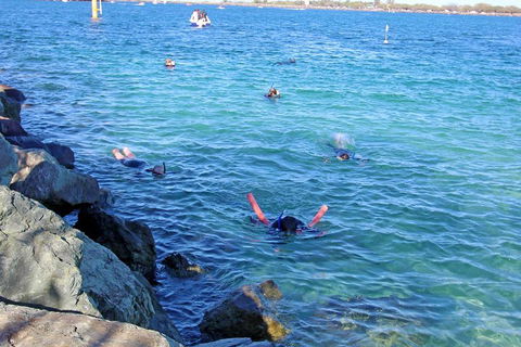 Wave Break Island Scuba Diving On The Gold Coast - Accommodation Tasmania 1
