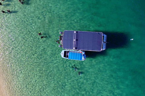 Wave Break Island Scuba Diving On The Gold Coast - Accommodation Tasmania 2