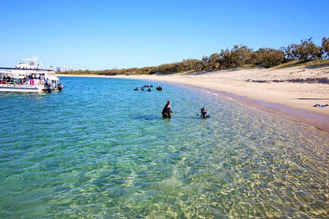 Wave Break Island Scuba Diving On The Gold Coast - Accommodation Tasmania 4
