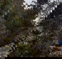 kunanyi / Mt. Wellington Guided Hiking Tour - Accommodation Tasmania
