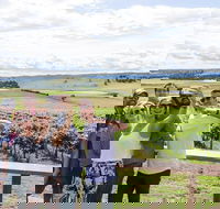 Private Tour of Melbourne - Accommodation Tasmania