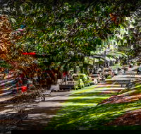 Fully Inclusive Blue Mountains Private Tour inc Scenic World  Featherdale entry - Accommodation Tasmania