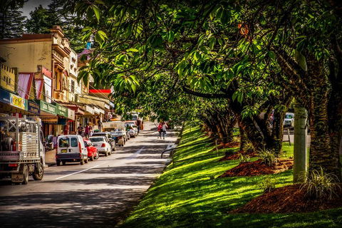 Fully Inclusive Blue Mountains Private Tour Inc Scenic World & Featherdale Entry - Accommodation Tasmania 0