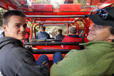 Fully Inclusive Blue Mountains Private Tour Inc Scenic World & Featherdale Entry - Accommodation Tasmania 1