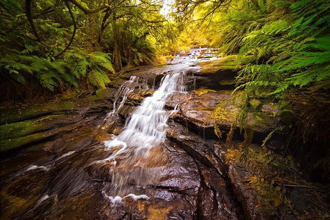 Fully Inclusive Blue Mountains Private Tour Inc Scenic World & Featherdale Entry - Accommodation Tasmania 3