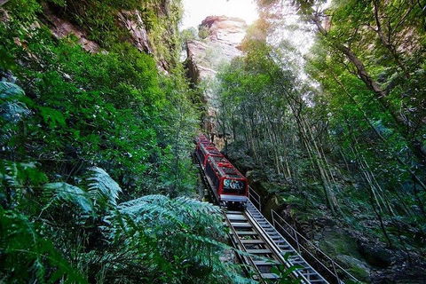 Fully Inclusive Blue Mountains Private Tour Inc Scenic World & Featherdale Entry - Accommodation Tasmania 4