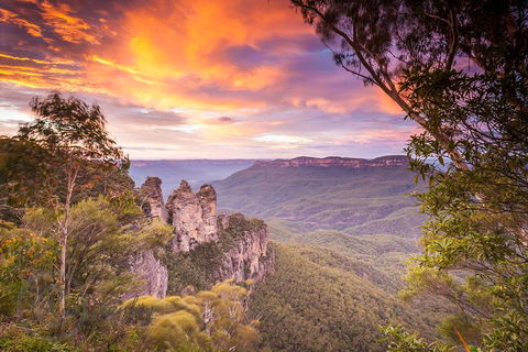 Fully Inclusive Blue Mountains Private Tour Inc Scenic World & Featherdale Entry - Accommodation Tasmania 5