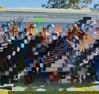 Full Day Mount Tamborine Winery Tour from Gold Coast - Accommodation Tasmania