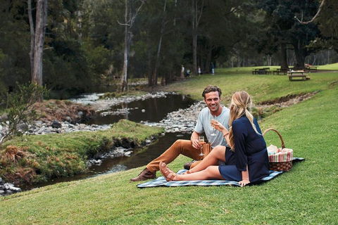 Mt Tamborine - Hinterland Wonders Self Guided - Accommodation Tasmania 0