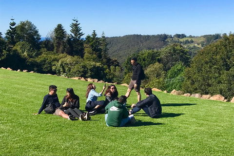 Mt Tamborine - Hinterland Wonders Self Guided - Accommodation Tasmania 1