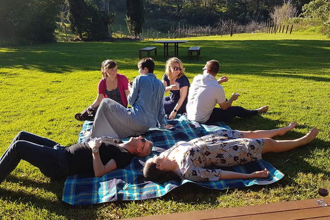 Mt Tamborine - Hinterland Wonders Self Guided - Accommodation Tasmania 2