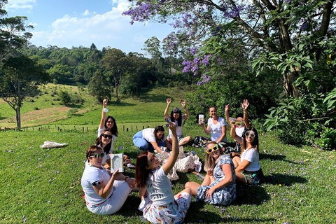 Mt Tamborine - Hinterland Wonders Self Guided - Accommodation Tasmania 5