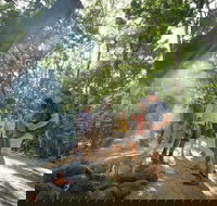 Mossman Gorge Adventure Day - Accommodation Tasmania