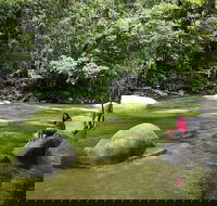 Daintree Dreaming Traditional Aboriginal Fishing from Cairns or Port Douglas - Accommodation Tasmania