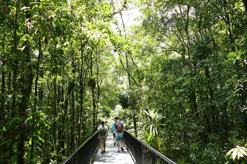 Daintree Dreaming Traditional Aboriginal Fishing From Cairns Or Port Douglas - Accommodation Tasmania 3