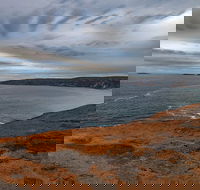 Kangaroo Island Luxury Small Group 'Flinders Chase Focus' Full Day Tour - Accommodation Tasmania