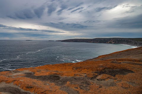 Kangaroo Island Luxury Small Group 'Flinders Chase Focus' Full Day Tour - Accommodation Tasmania 0