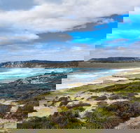 Kangaroo Island Luxury Small Group 'East End Explorer' Full Day Tour - Accommodation Tasmania