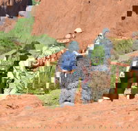 Afternoon Kata Tjuta Small Group Tour - Accommodation Tasmania