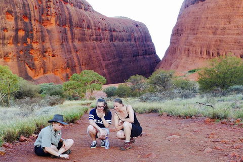 Afternoon Kata Tjuta Small Group Tour - Accommodation Tasmania 2