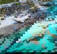 Rottnest Island Round-Trip Ferry from Perth or Fremantle - Accommodation Tasmania