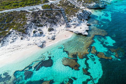 Rottnest Island Round-Trip Ferry From Perth Or Fremantle - Accommodation Tasmania 0