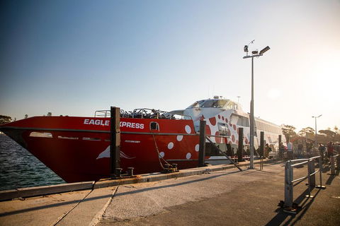 Rottnest Island Round-Trip Ferry From Perth Or Fremantle - Accommodation Tasmania 2